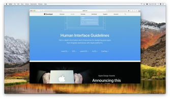 WWDC 設(shè)計分會 跨平臺設(shè)計中的平臺適配與風(fēng)格協(xié)調(diào)